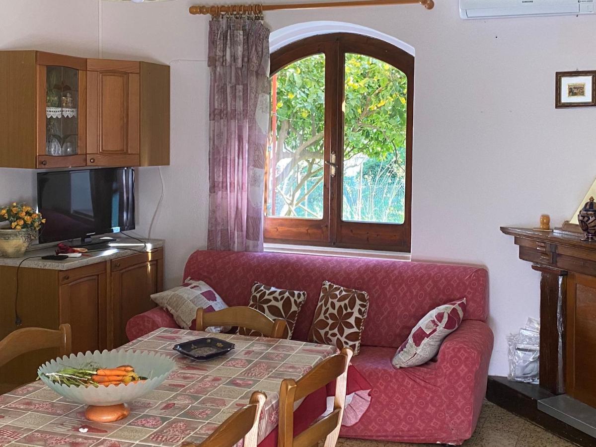 Guest House Brandino Pani Тертения Экстерьер фото